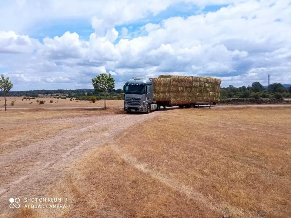 Alimentos fauna