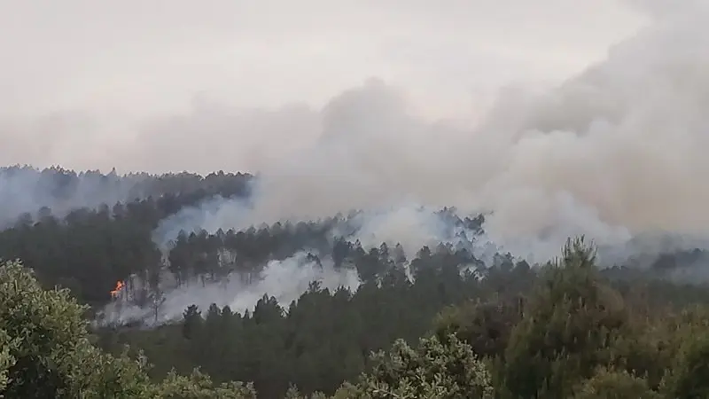 Columna de humo en la zona de la Devesa en Ferreras