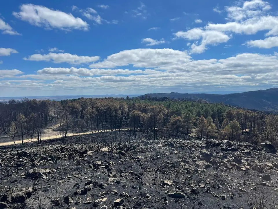 Estado de la Sierra de la Culebra tras el incendio.