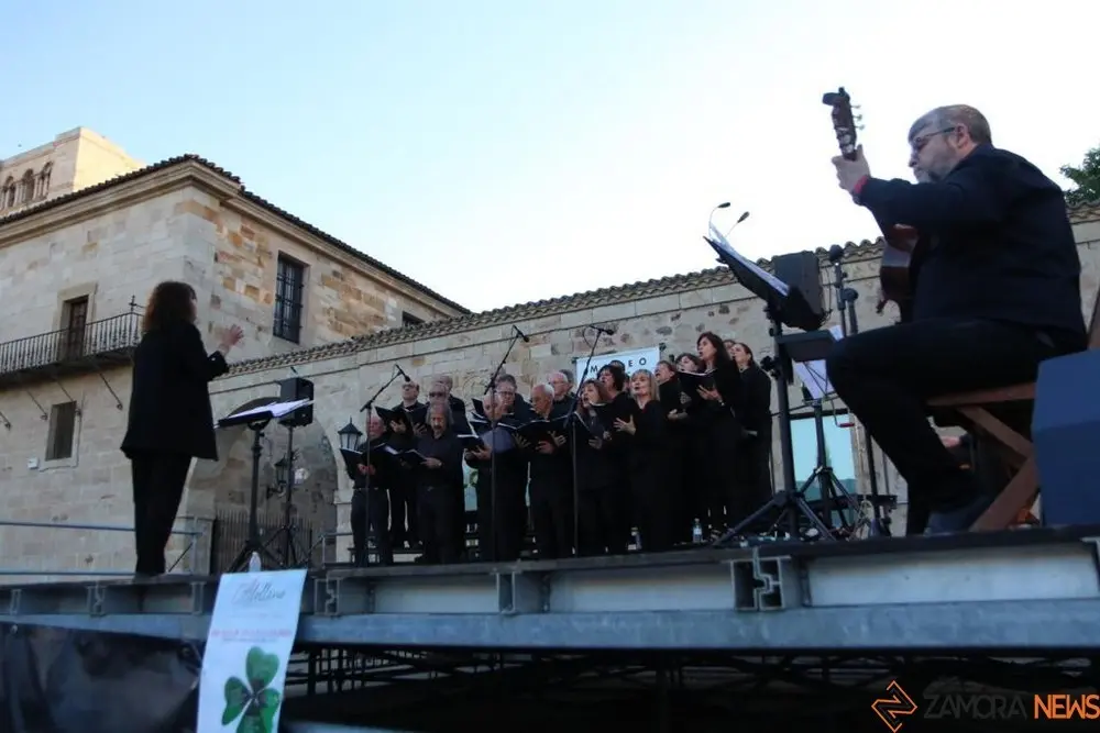 alollano  (3)