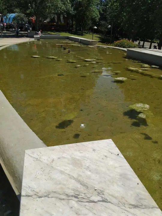 Foto denuncia Vox fuente de la marina