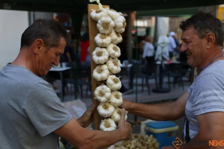 Feria del Ajo