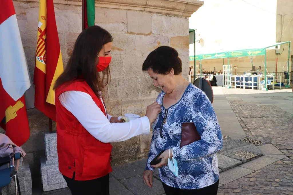 cruz roja día de la banderita