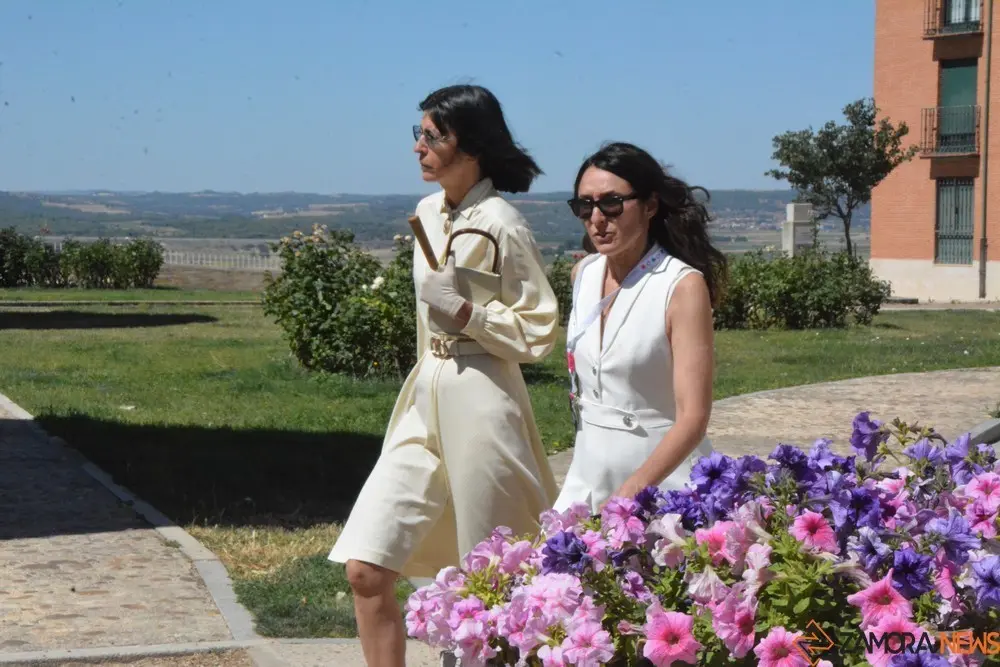 iberoamericana Toro  (91)