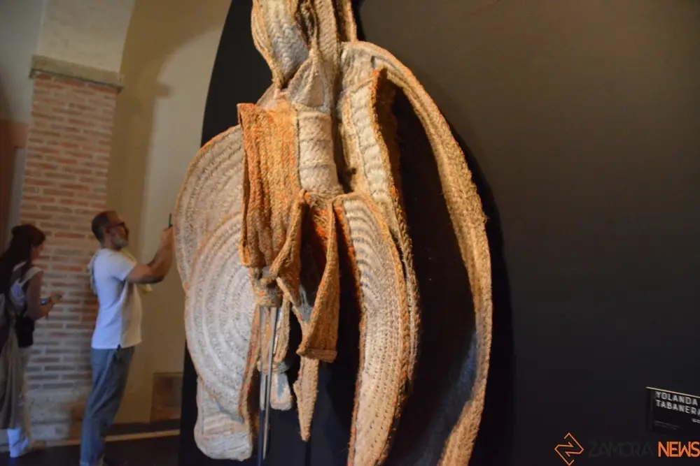 iberoamericana Toro  (187)