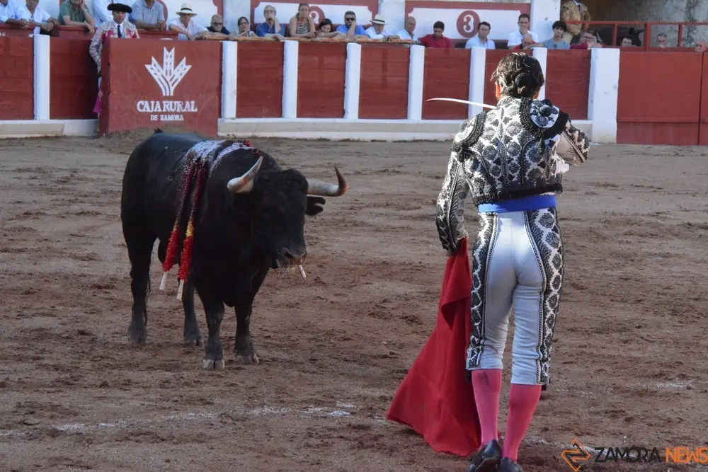 toros san pedro 2022 (154)