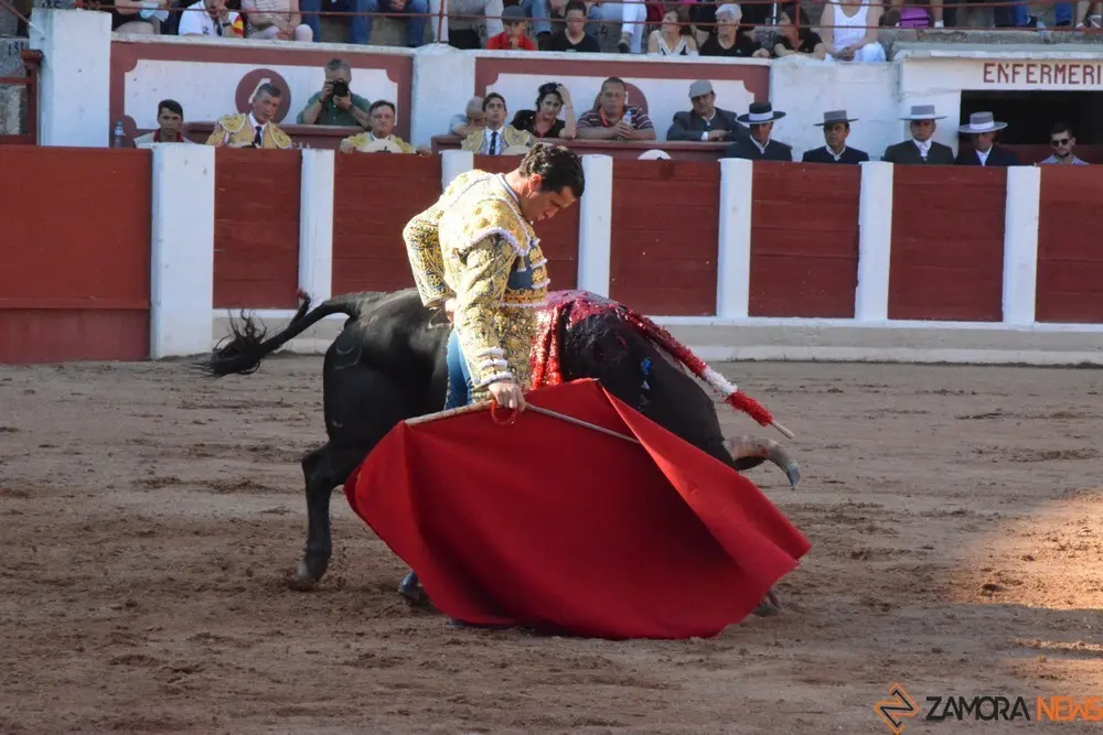 toros san pedro 2022 (196)