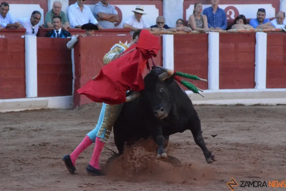 toros san pedro 2022 (261)