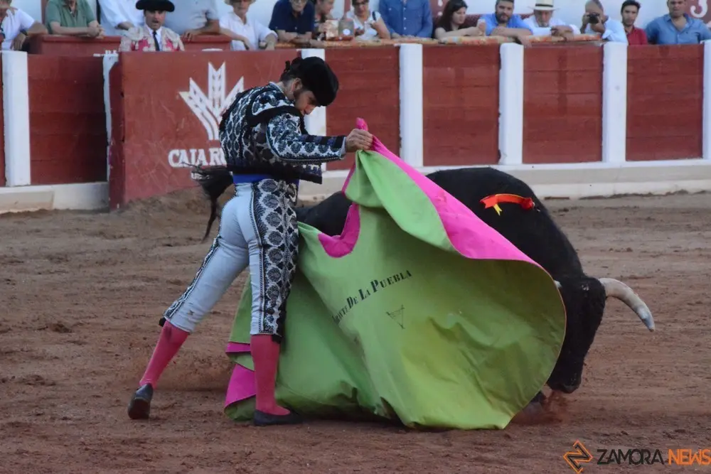 toros san pedro 2022 (303)