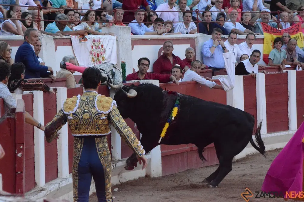 toros san pedro 2022 (376)