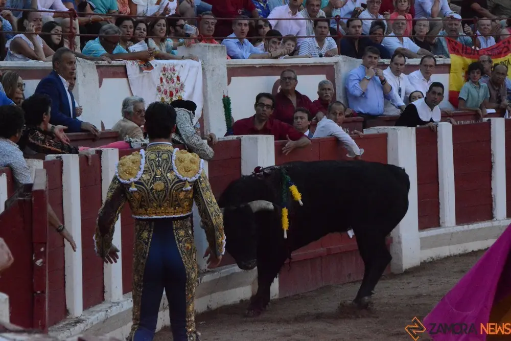 toros san pedro 2022 (377)