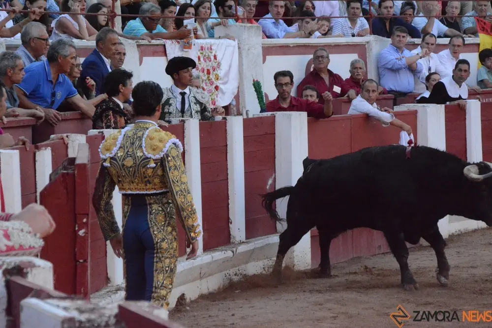 toros san pedro 2022 (378)