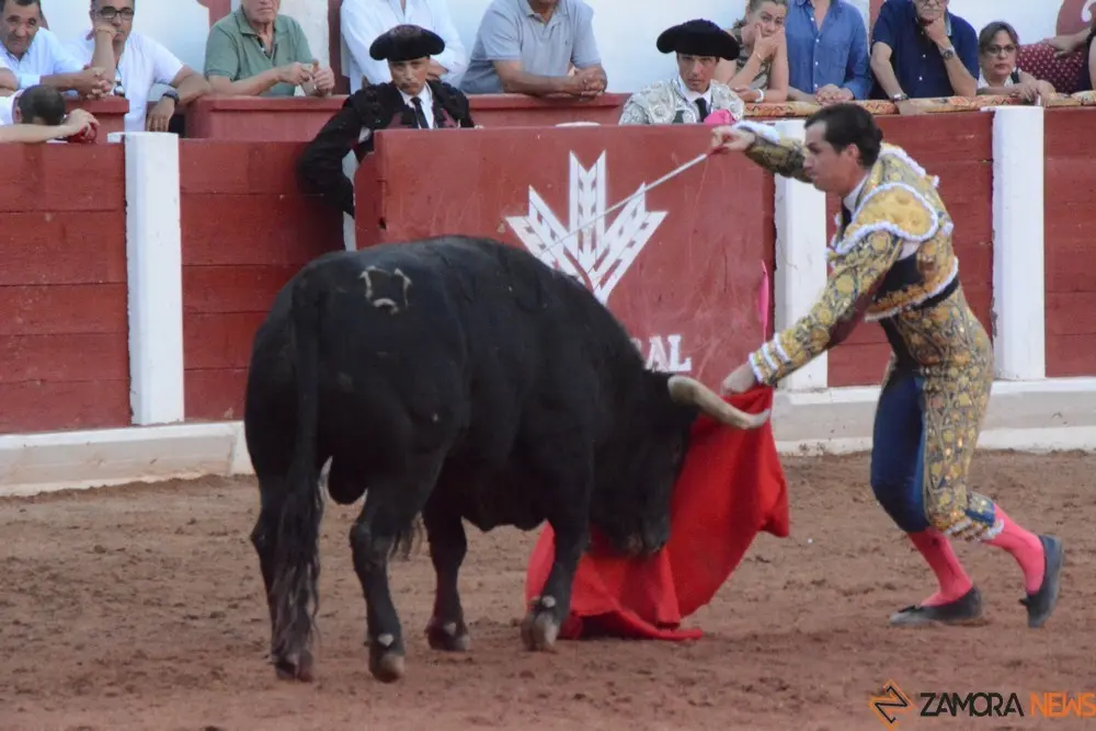 toros san pedro 2022 (393)