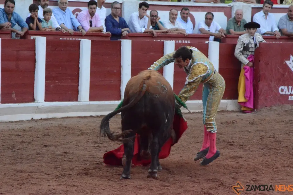 toros san pedro 2022 (439)