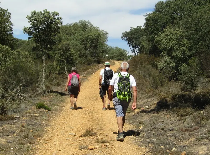 Peregrinos por el Camino Sanbrés. Foto Albergue Tábara