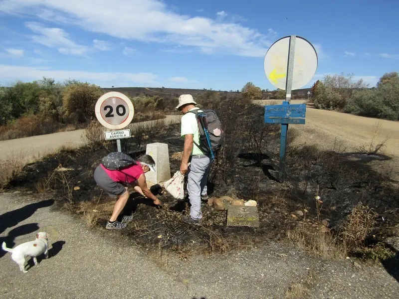 Peregrinos en el Camino Sanabrés