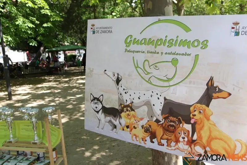 VII Concurso Mascotero Guaupisimos  (4)