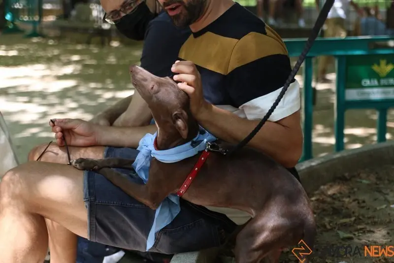 VII Concurso Mascotero Guaupisimos  (12)