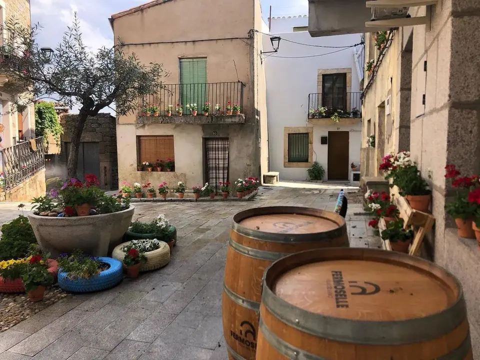 Plaza de Requejo, Oficina Fermoselle Ruta del Vino