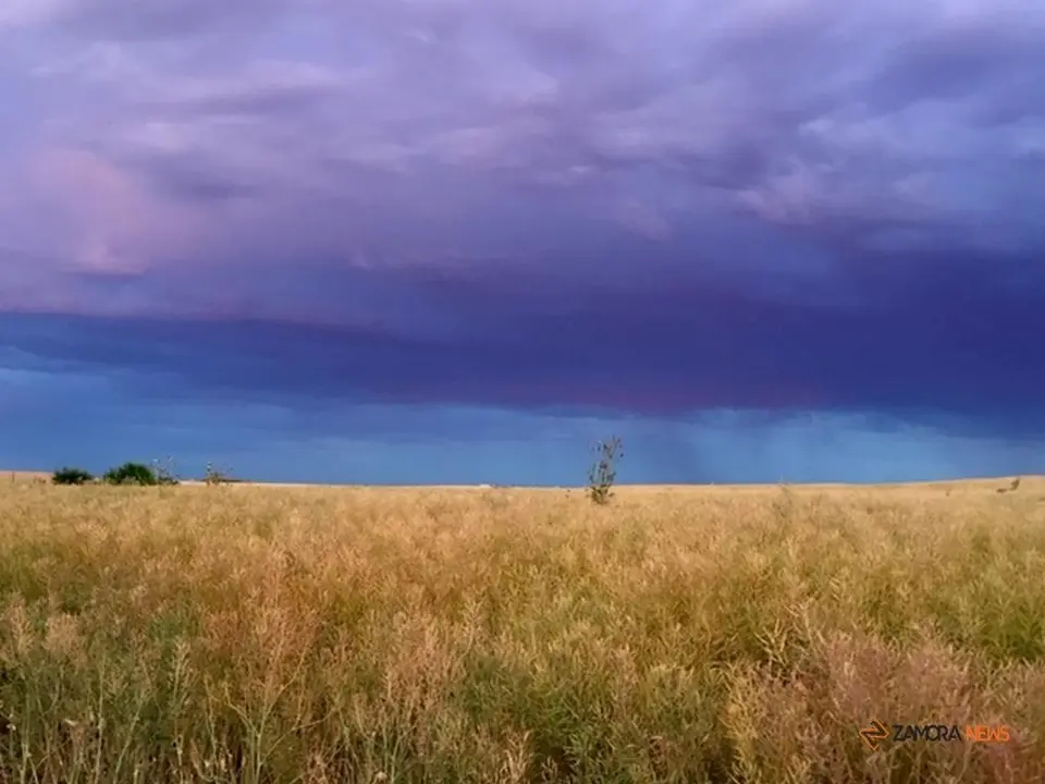 Campo de trigo en plena tormenta