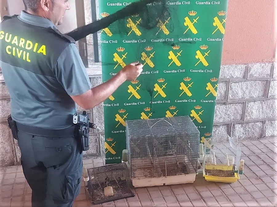Guardia Civil (3)
