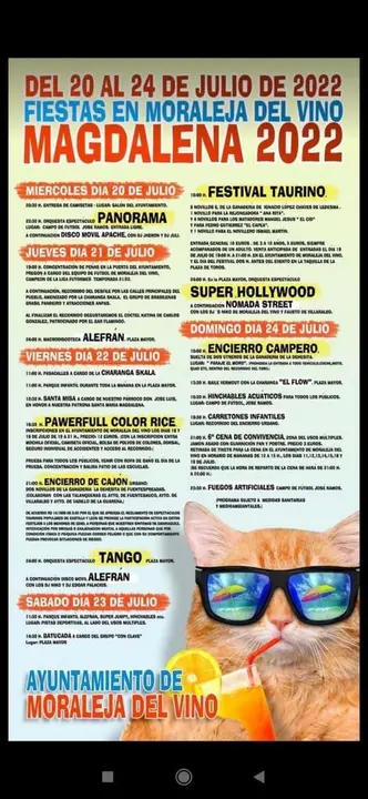 Cartel fiestas Moraleja del Vino