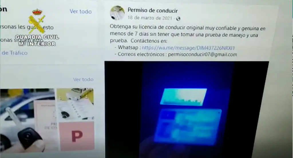 Fraude carné de conducir