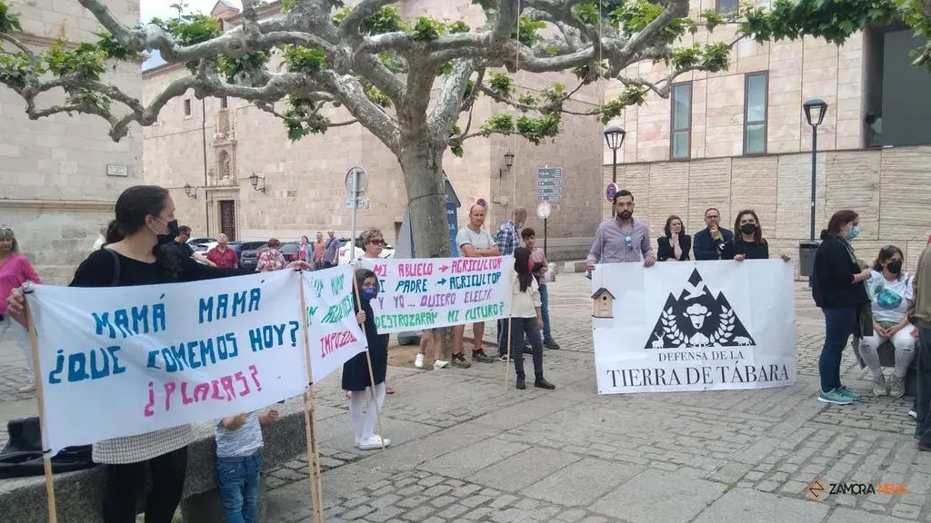 Protesta Plataforma en Defensa de la Tierra de Tábara realizada en la plaza de Viriato