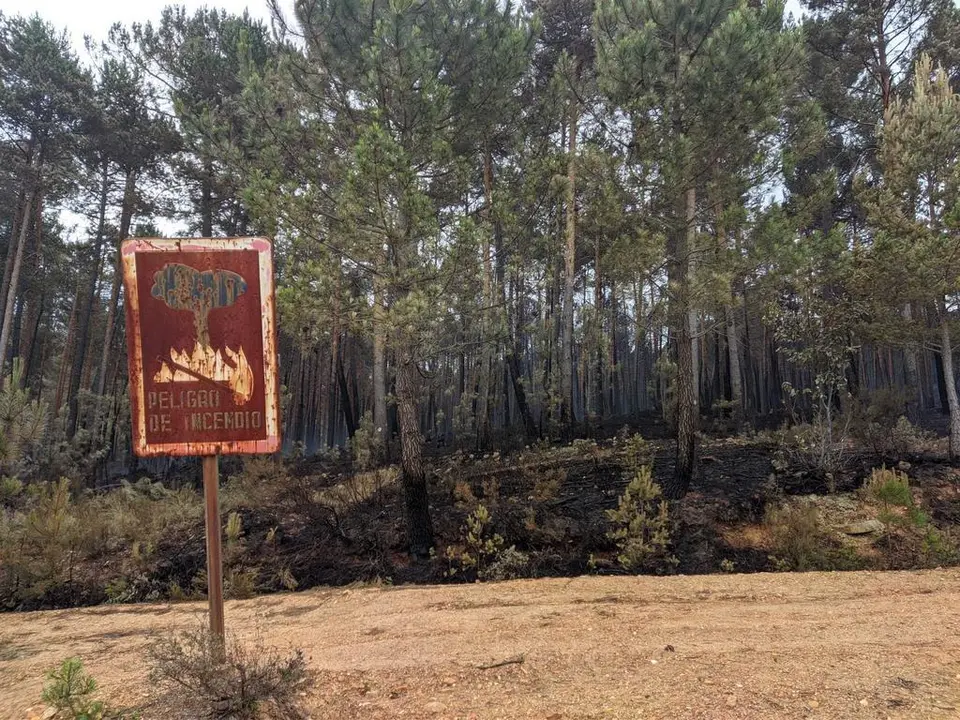 Imagen de archivo de la Sierra de la Culebra tras el incendio