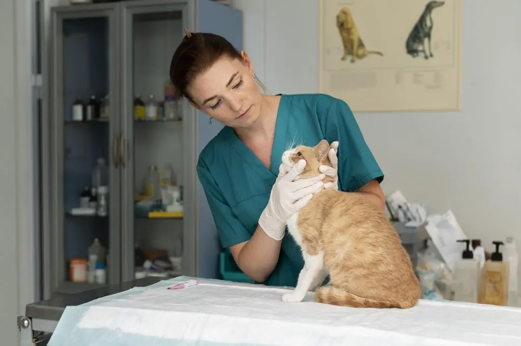 Veterinaria mascota