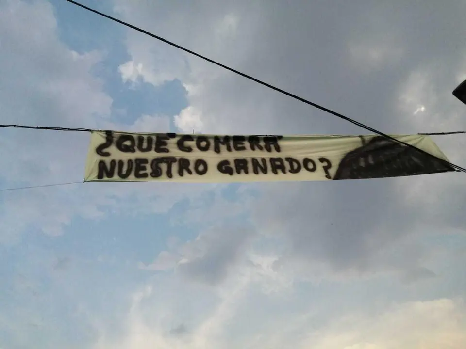 Manifestación Sierra de la Culebra (3)