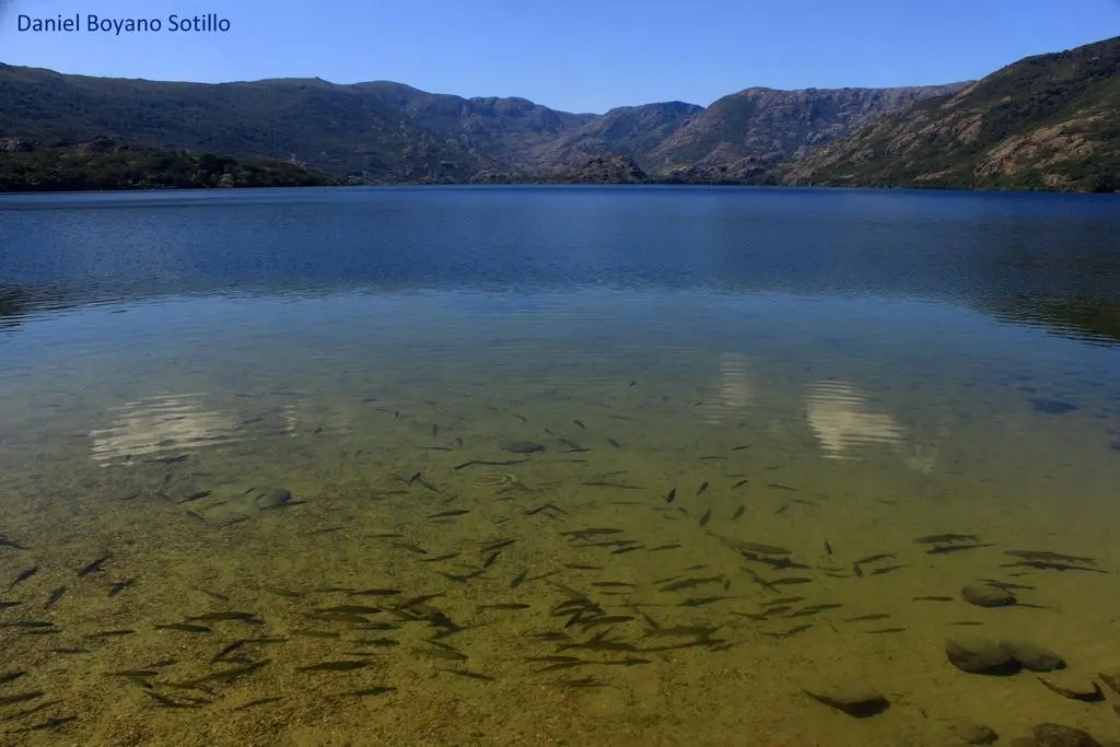 Lago de Sanabria. Fotografía: Daniel Bustillo