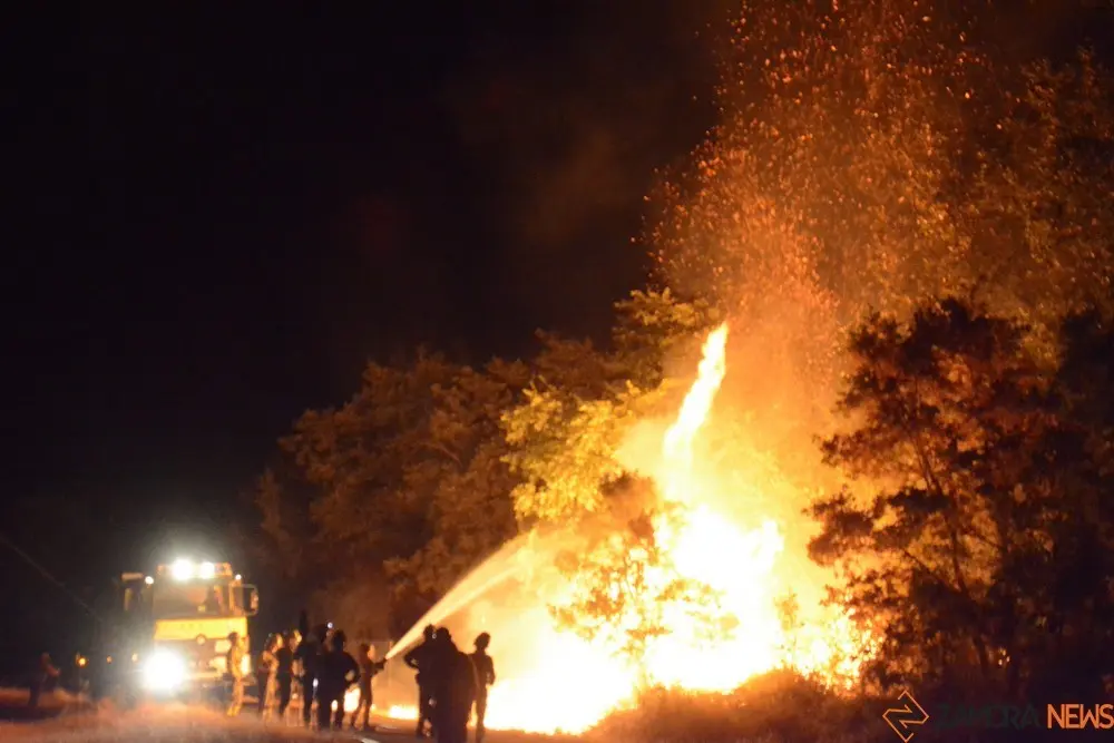 fuego losacio (27)