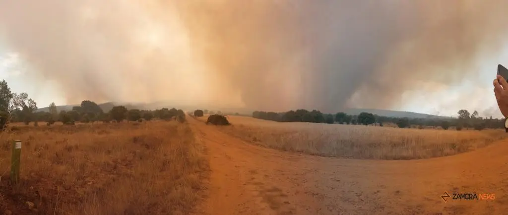 Incendio Losacio_4
