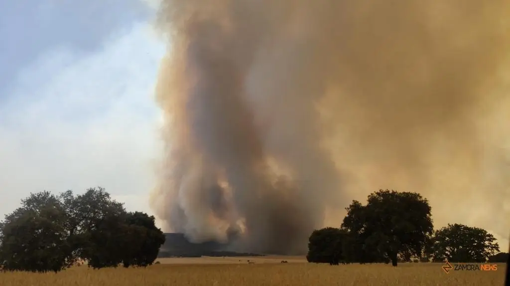 Incendio