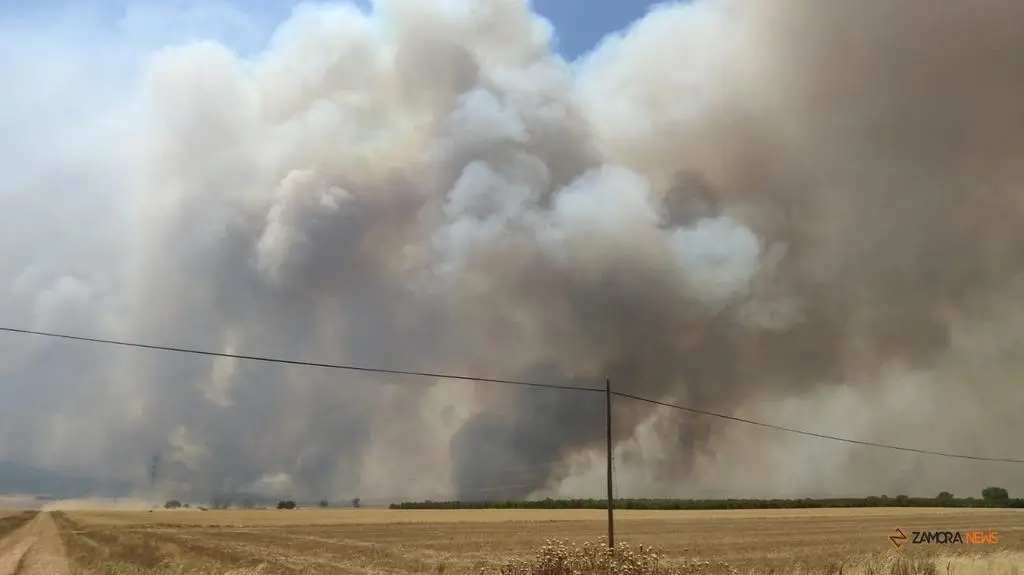 Incendio Losacio