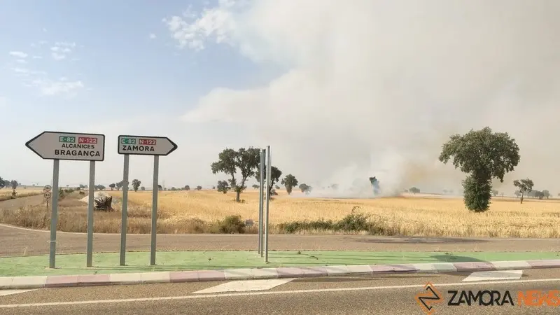 Incendio Almaraz de Duero