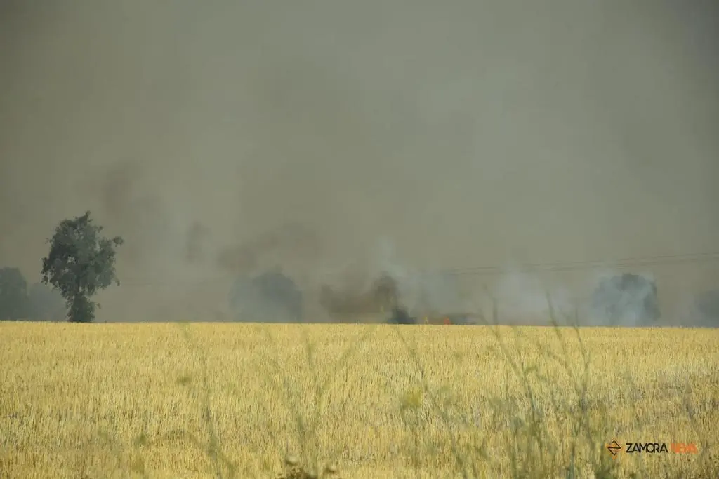 Incendio Almaraz de Duero_18