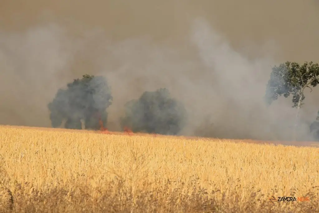 Incendio Almaraz de Duero_17