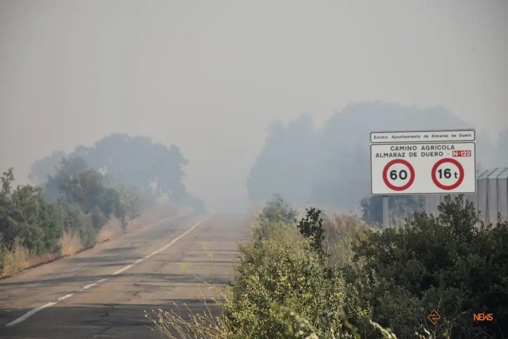 Incendio Almaraz de Duero_13