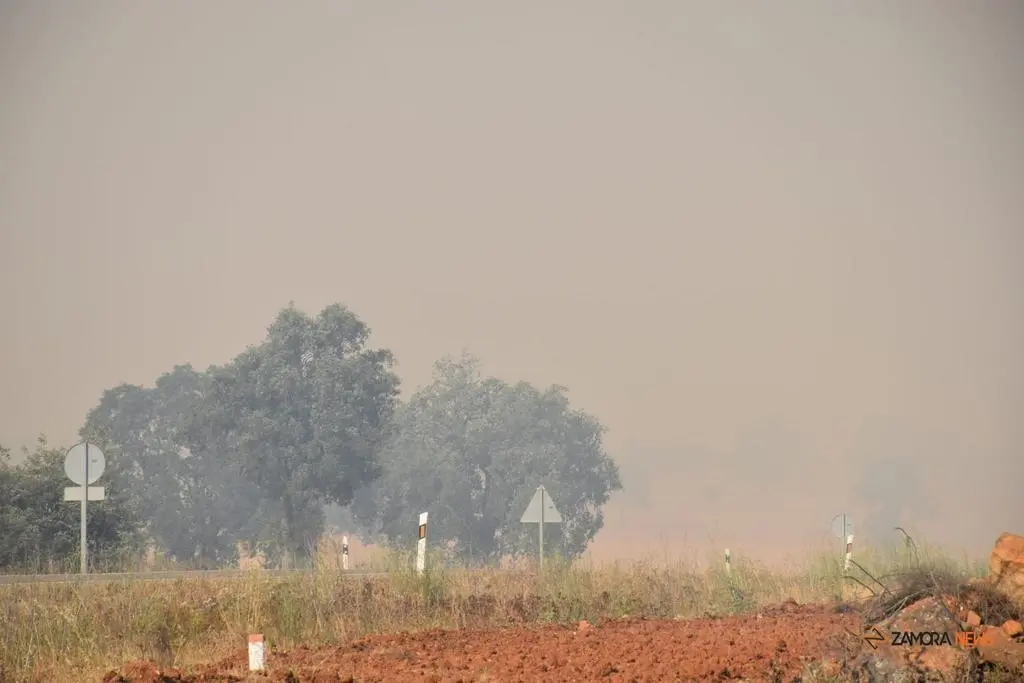 Incendio Almaraz de Duero_12