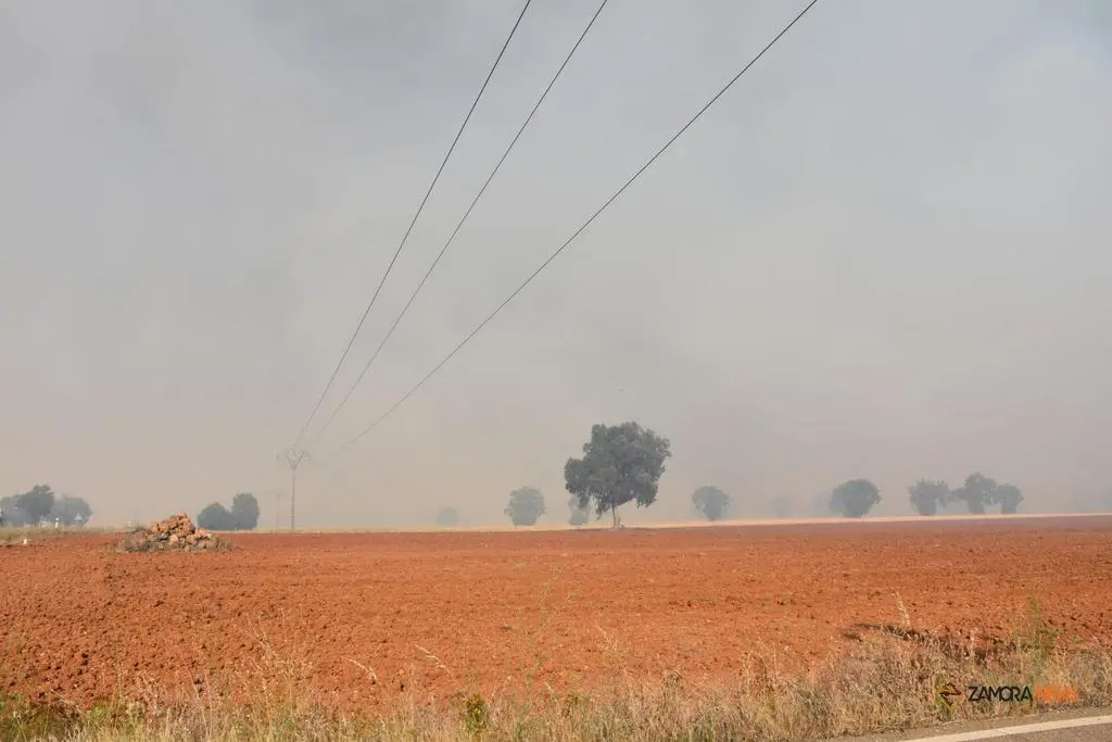 Incendio Almaraz de Duero_14