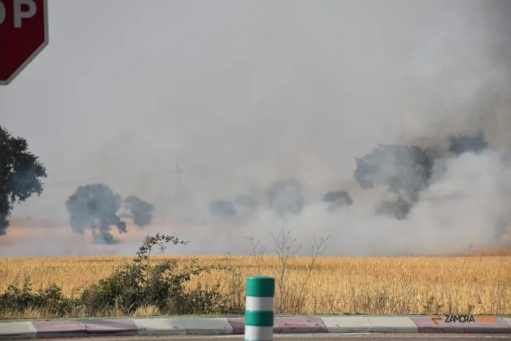 Incendio Almaraz de Duero_9