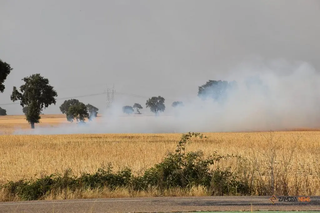 Incendio Almaraz de Duero_11