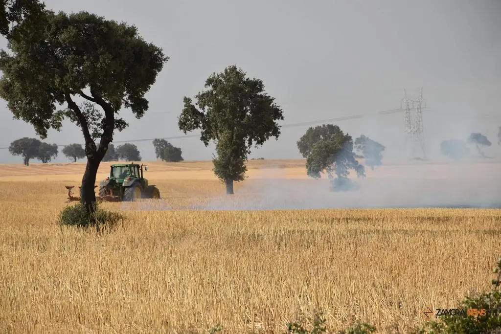 Incendio Almaraz de Duero_6