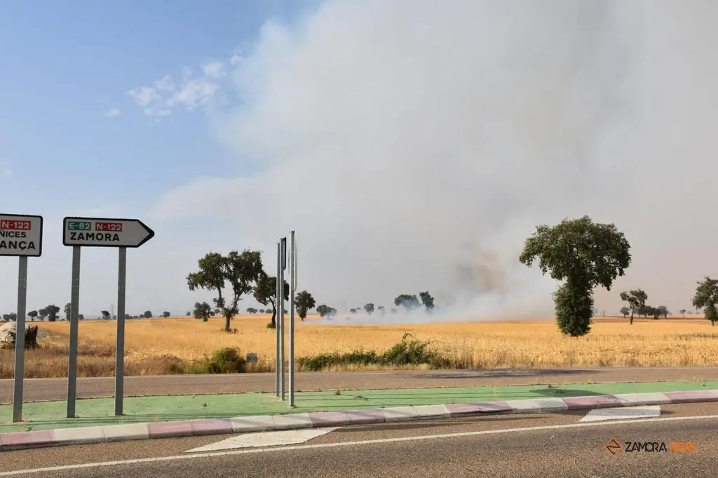 Incendio Almaraz de Duero_4
