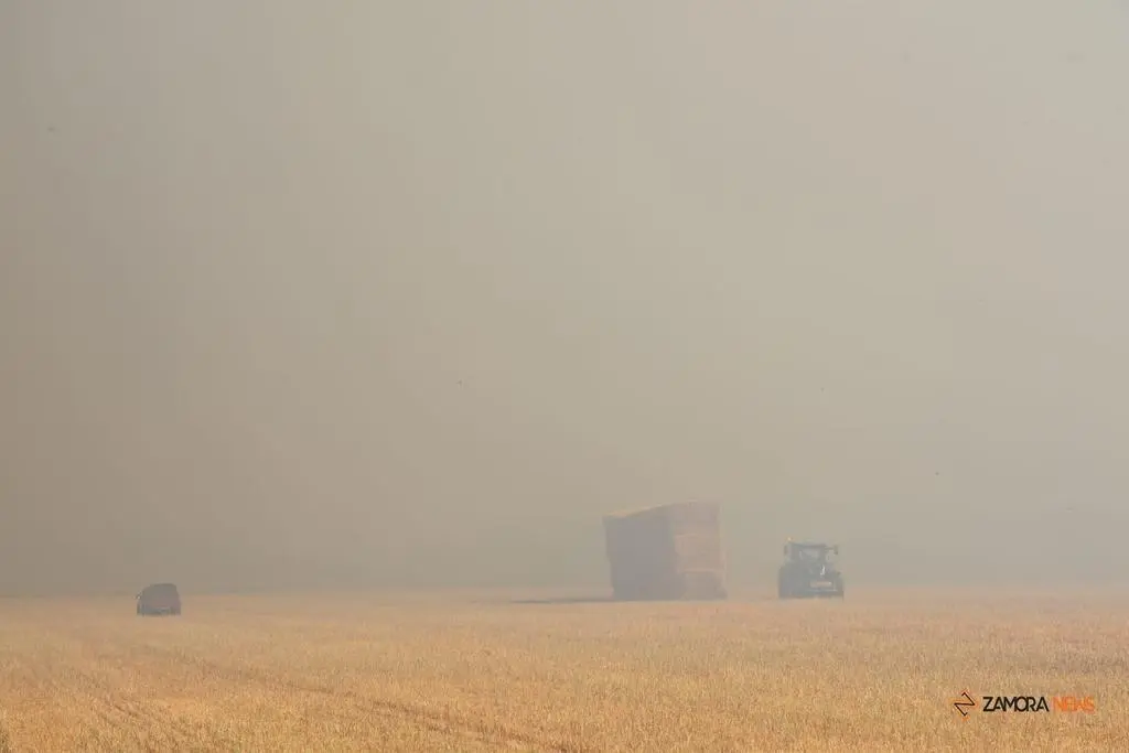 Incendio Almaraz de Duero_3