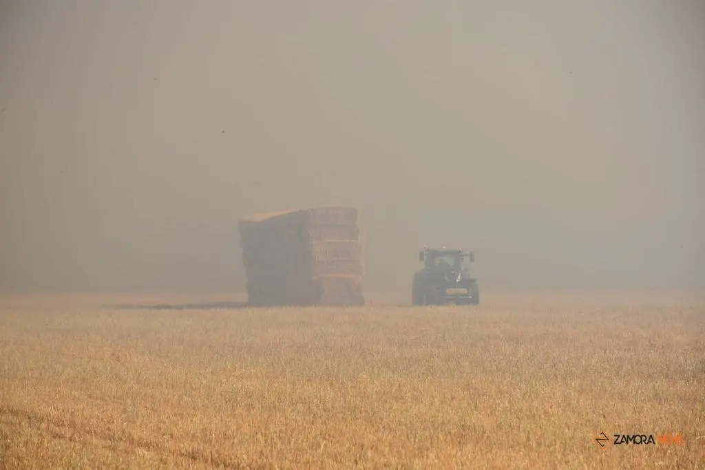 Incendio Almaraz de Duero_2