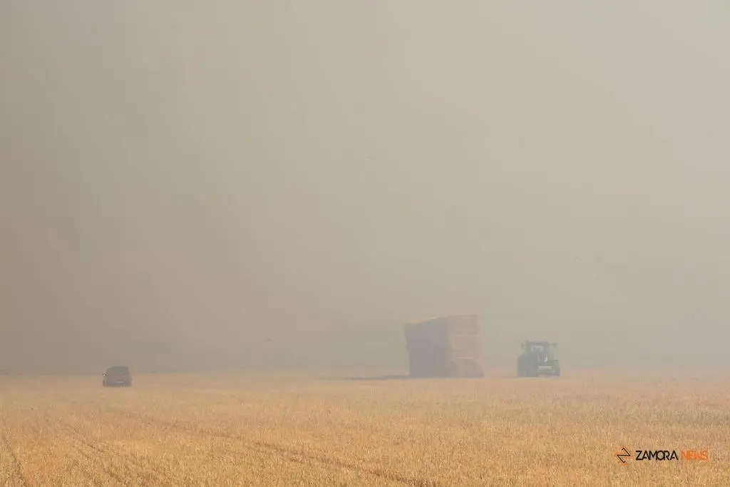 Incendio Almaraz de Duero