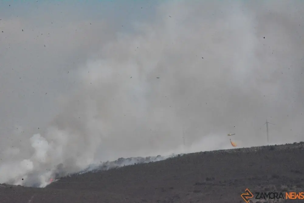 Fuego losacio dia 19 (76)